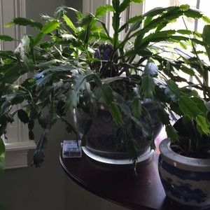 Meet your Posher, Donna-marie